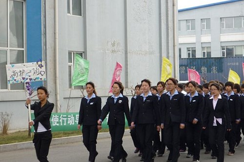 平博·pinnacle有限公司“东科杯”首届大学生文化艺术节——开幕式图片